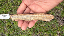 Load image into Gallery viewer, Paring Knife_Mango wood handle (B)
