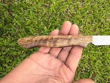 Load image into Gallery viewer, Paring Knife_Mango wood handle (C)
