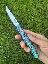Load image into Gallery viewer, Paring Knife_Paua handle
