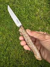 Load image into Gallery viewer, Paring Knife_Mango wood handle
