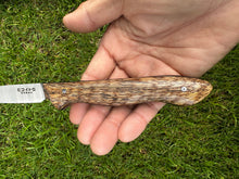 Load image into Gallery viewer, Paring Knife_Mango wood handle
