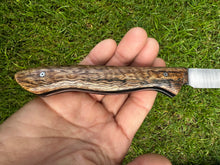 Load image into Gallery viewer, Paring Knife_Mango wood handle
