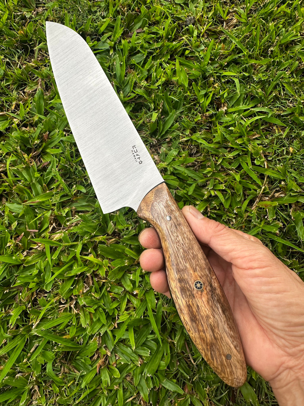 Santoku_Mango wood handle