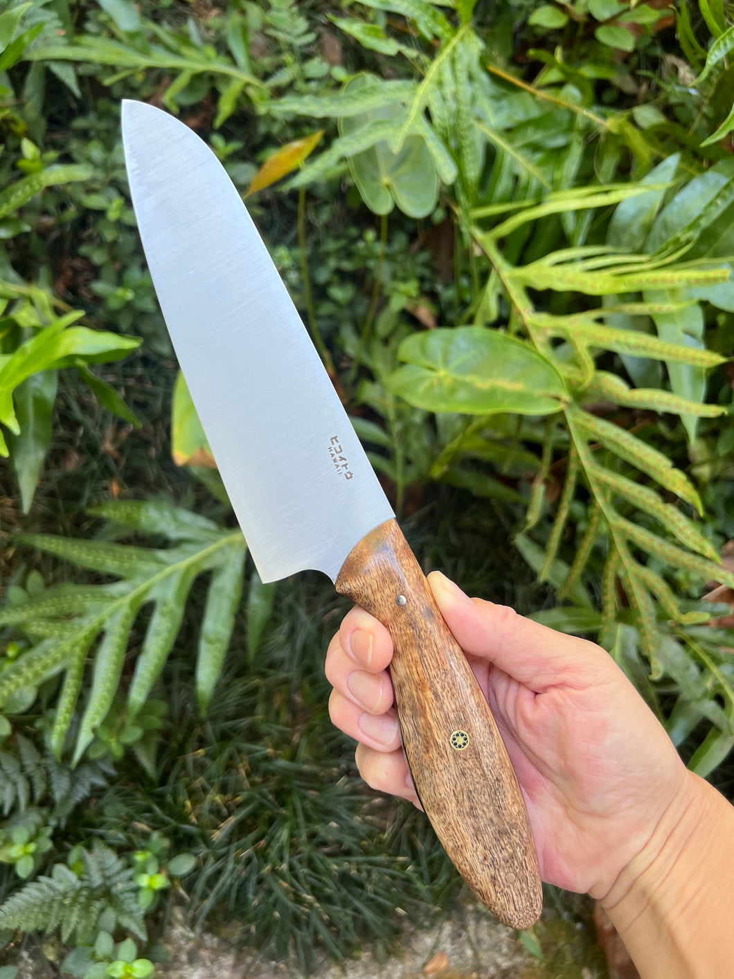 Santoku_Mango wood handle