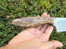 Load image into Gallery viewer, Santoku_Mango wood handle (B)
