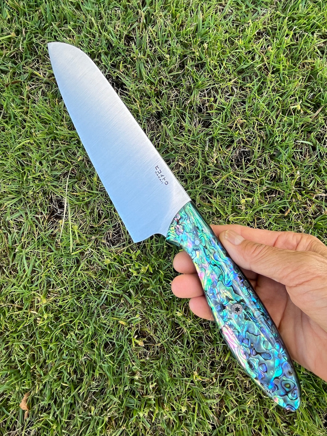 Santoku_Paua handle