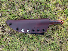 Load image into Gallery viewer, Sketto_Curly Koa wood handle
