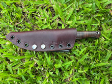Load image into Gallery viewer, Sketto_Koa wood handle
