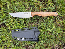 Load image into Gallery viewer, Sketto_Mango wood handle (B)
