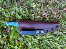 画像をギャラリービューアに読み込む, Sketto_Paua ハンドル
